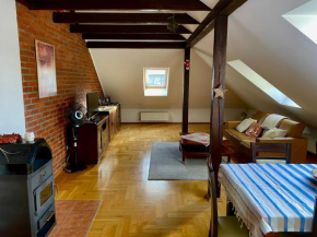 Гостиница Apartament Bursztynowa 110 m2  Międzyrzecze Górne